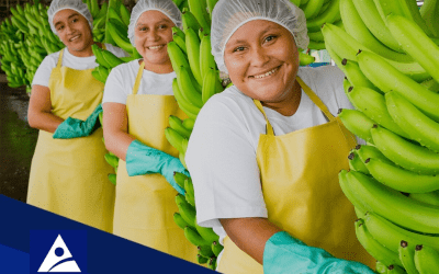 EL LEGADO QUE NOS GUÍA: VIVIR LOS VALORES CADA DÍA