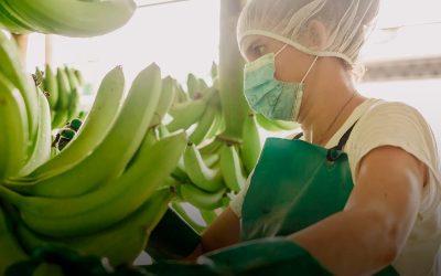 LIDERAZGO EN TIEMPOS DE INCERTIDUMBRE