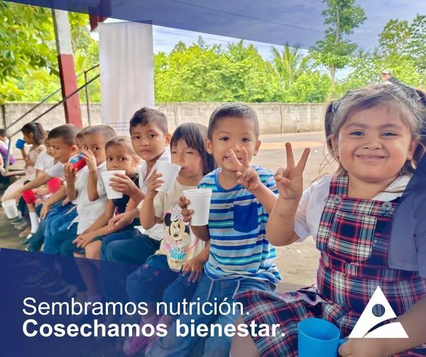 nutricion infantil