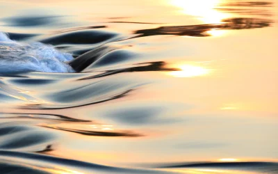 EL ORO INVISIBLE DE NUESTRO SIGLO