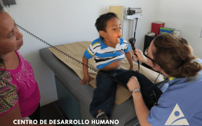 VOLVER A LO ESENCIAL: EL CAMINO HACIA UN DESARROLLO RURAL DIGNO